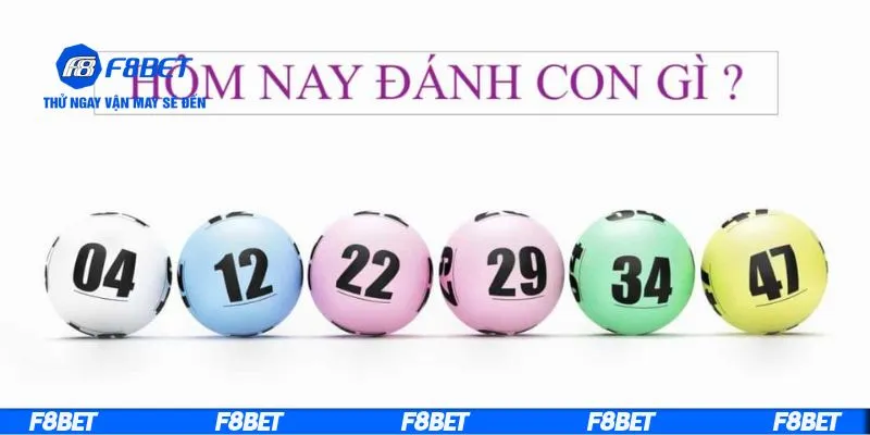 Khái niệm cách tính cầu lô đề
